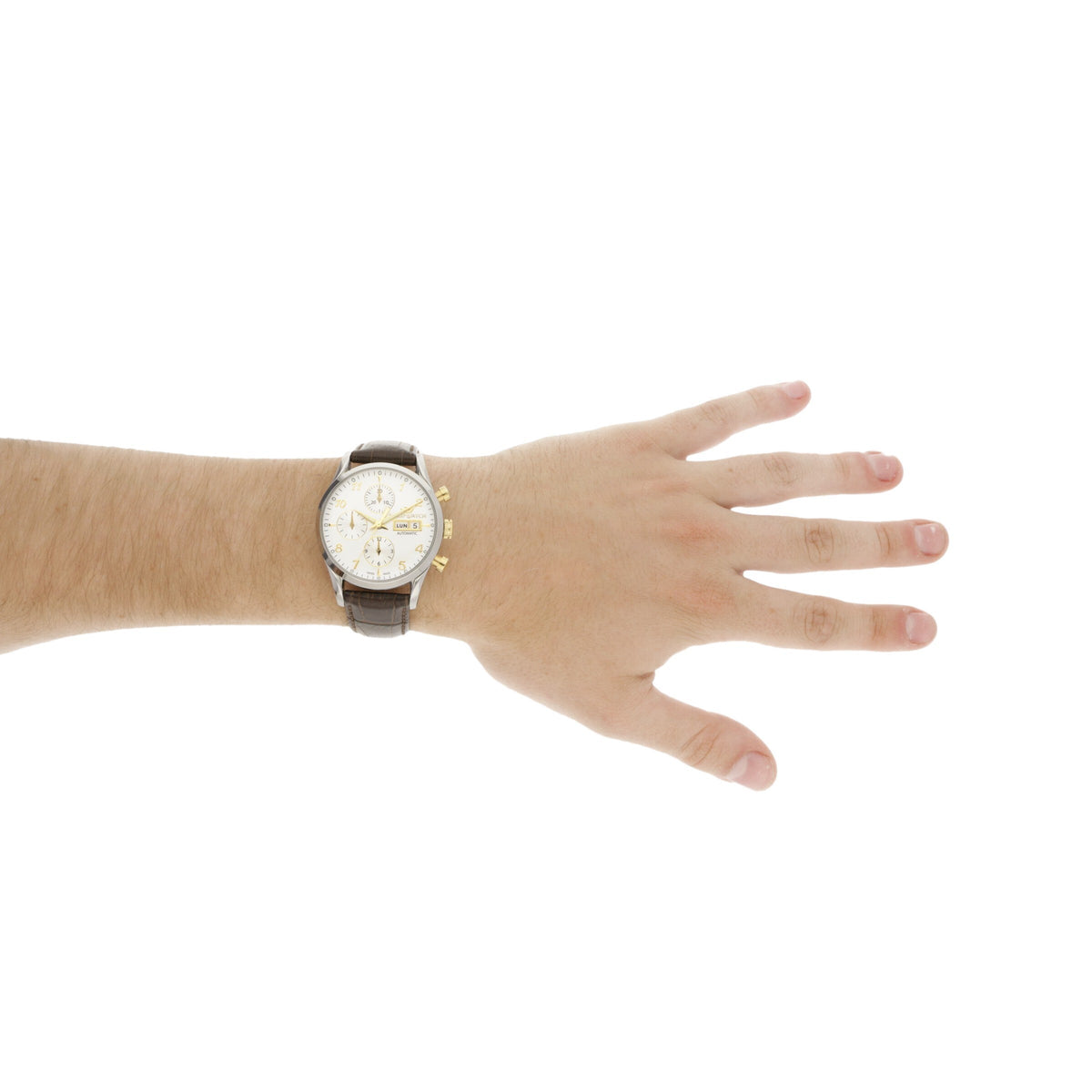Philip Watch Sunray Men's Watch R8241908002