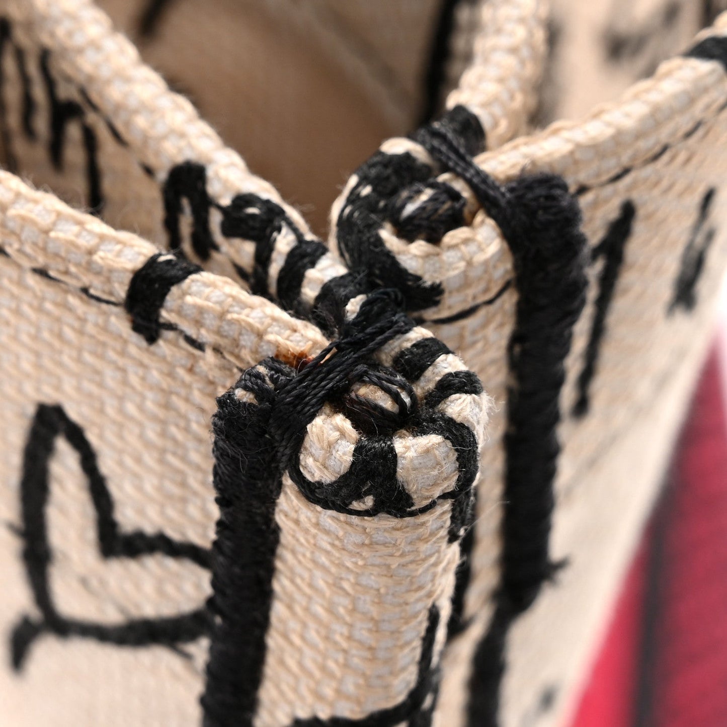 Canvas Embroidered Medium Dioramour Graffiti Book Tote Latte Multicolor