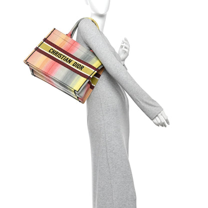 Canvas Embroidered Medium Dioraura Book Tote Multicolor
