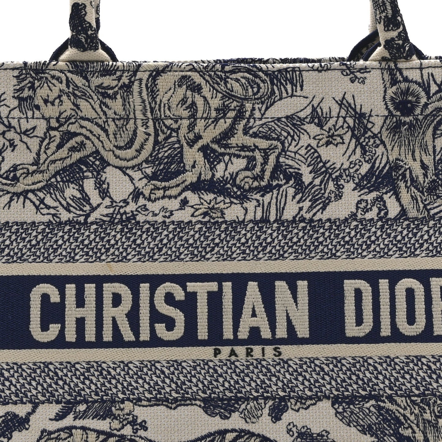 Canvas Embroidered Medium Dioriviera Toile De Jouy Book Tote Blue