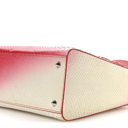 Snakeskin Ombre Medium Lady Dior Red White