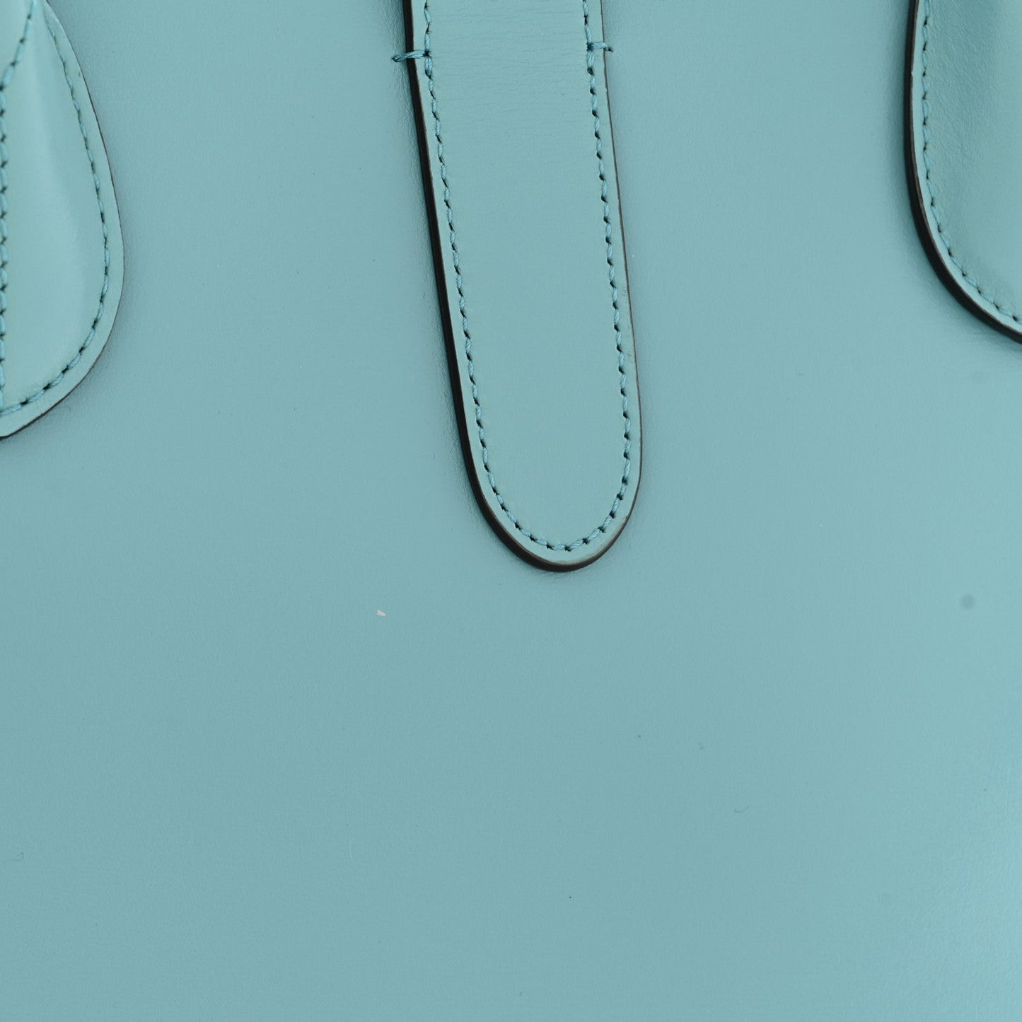 Boarded Plutone Calfskin Medium Jackie 1961 Tote Dusty Azure