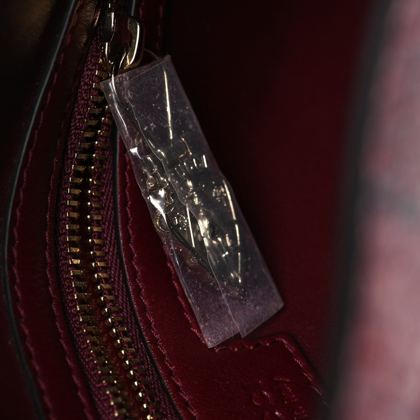 Snakeskin Web Small Jackie 1961 Hobo Rosso Ancora
