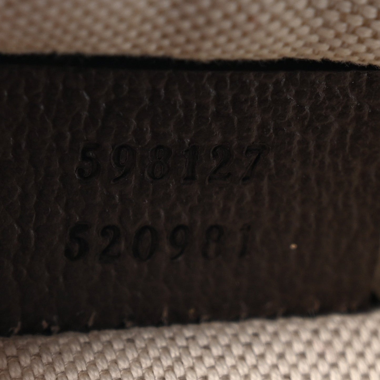 GG Supreme Monogram Web Mini Ophidia Messenger Brown