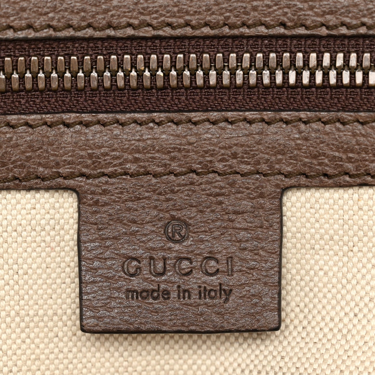 GG Supreme Monogram Medium Ophidia Day Backpack Brown