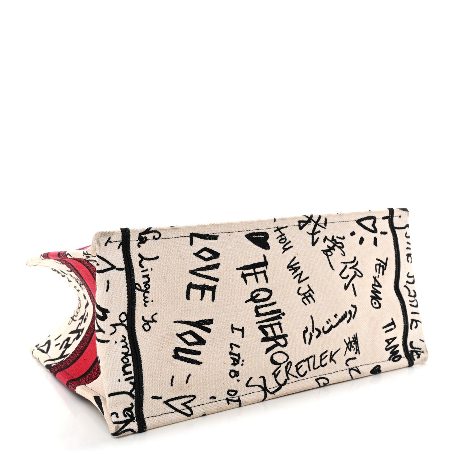 Canvas Embroidered Medium Dioramour Graffiti Book Tote Latte Multicolor