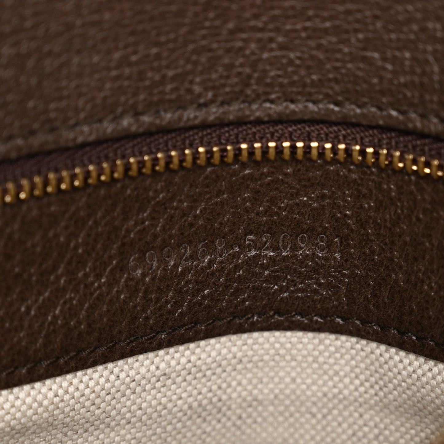 GG Supreme Monogram Textured Dollar Calfskin Blondie Chain Shoulder Flap Bag Beige Ebony New Acero