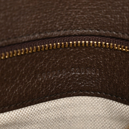 GG Supreme Monogram Textured Dollar Calfskin Blondie Chain Shoulder Flap Bag Beige Ebony New Acero