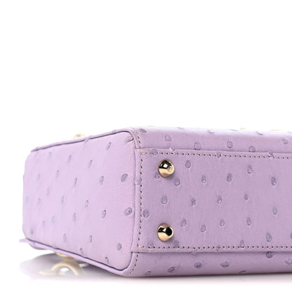 Ostrich Mini Lady Dior Purple