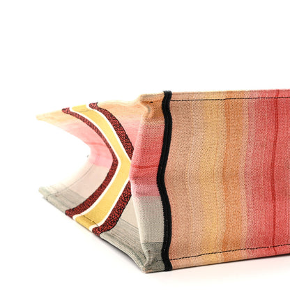 Canvas Embroidered Medium Dioraura Book Tote Multicolor