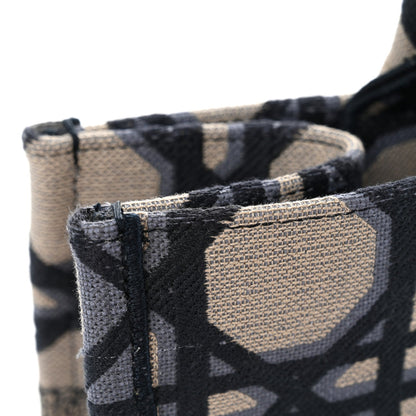 Canvas Macrocannage Embroidered Medium Book Tote Beige Blue