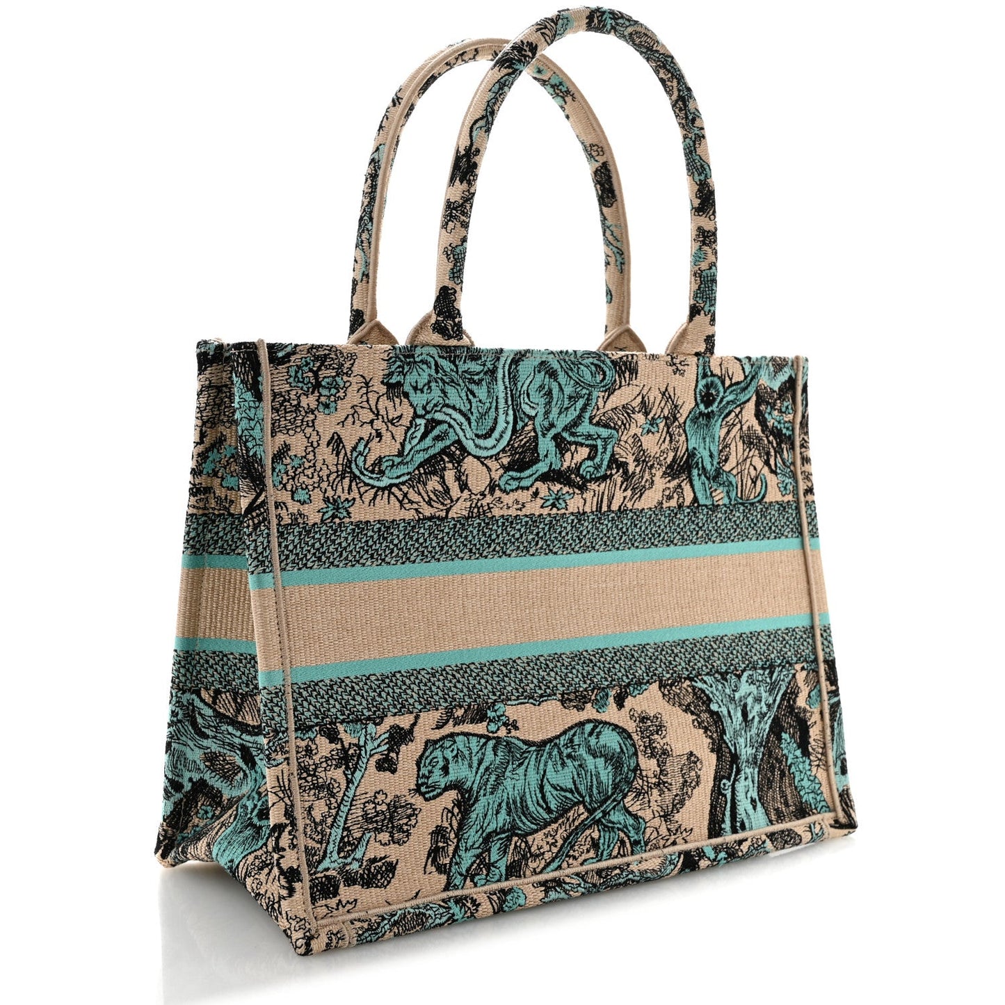 Raffia Embroidered Dioriviera Medium Book Tote Aquamarina
