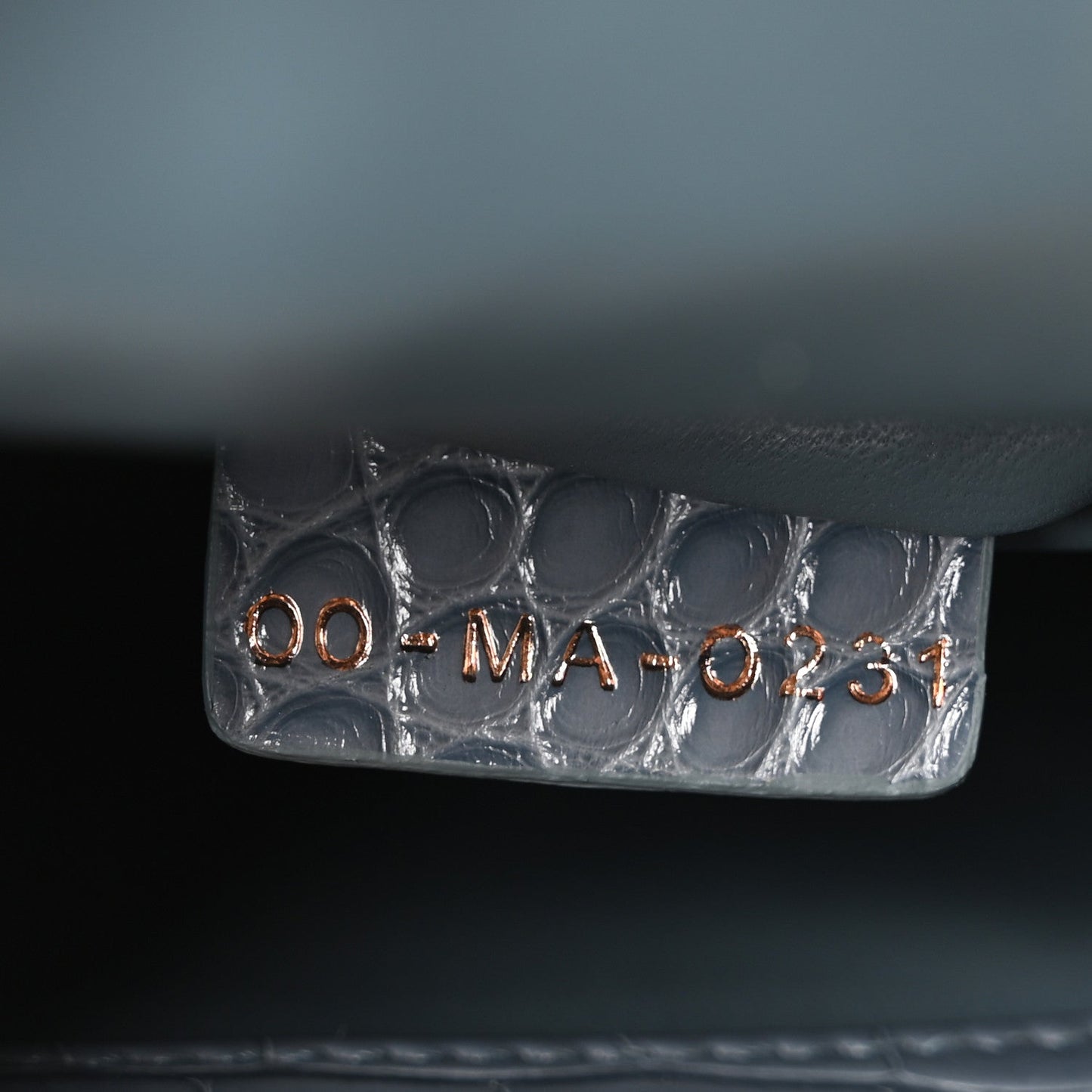 Alligator Crystal Mini Lady Dior Blue