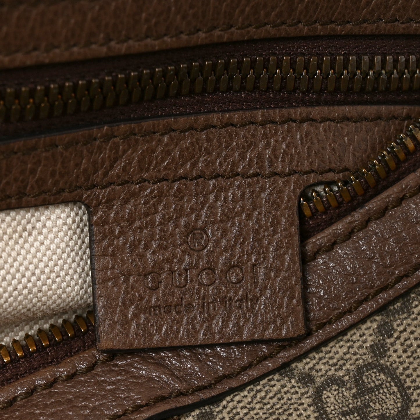 GG Supreme Monogram Web Ophidia Half Moon Hobo Brown