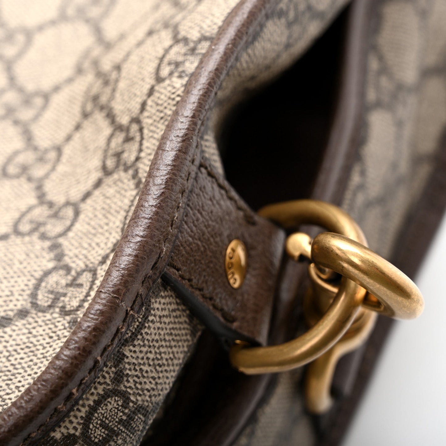 GG Supreme Monogram Textured Dollar Calfskin Web Ophidia Savoy Garment Bag Beige Ebony New Acero