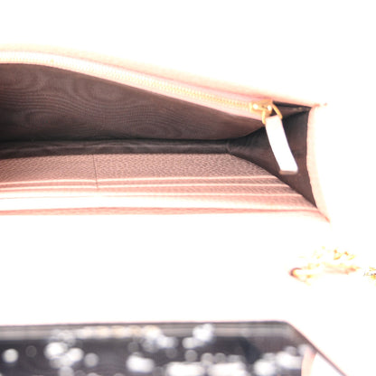 Dollar Calfskin Mini GG Marmont Chain Wallet Perfect Pink