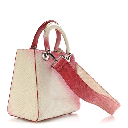 Snakeskin Ombre Medium Lady Dior Red White