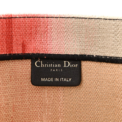 Canvas Embroidered Medium Dioraura Book Tote Multicolor