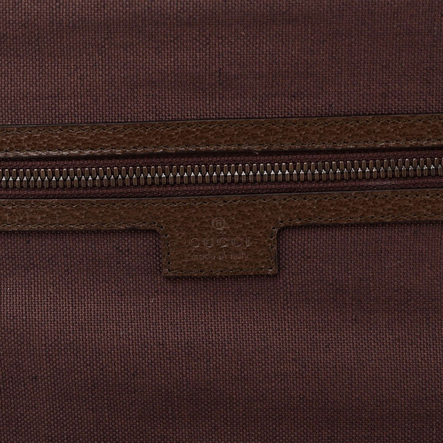 GG Supreme Monogram Textured Dollar Calfskin Web Ophidia Savoy Garment Bag Beige Ebony New Acero