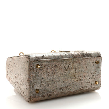 X LEE BUL Treated Calfskin Medium Lady Dior Art Bronze