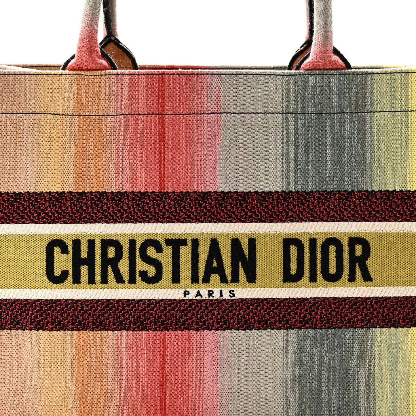 Canvas Embroidered Medium Dioraura Book Tote Multicolor