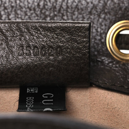 GG Supreme Monogram Web Mini Ophidia Bucket Bag Brown
