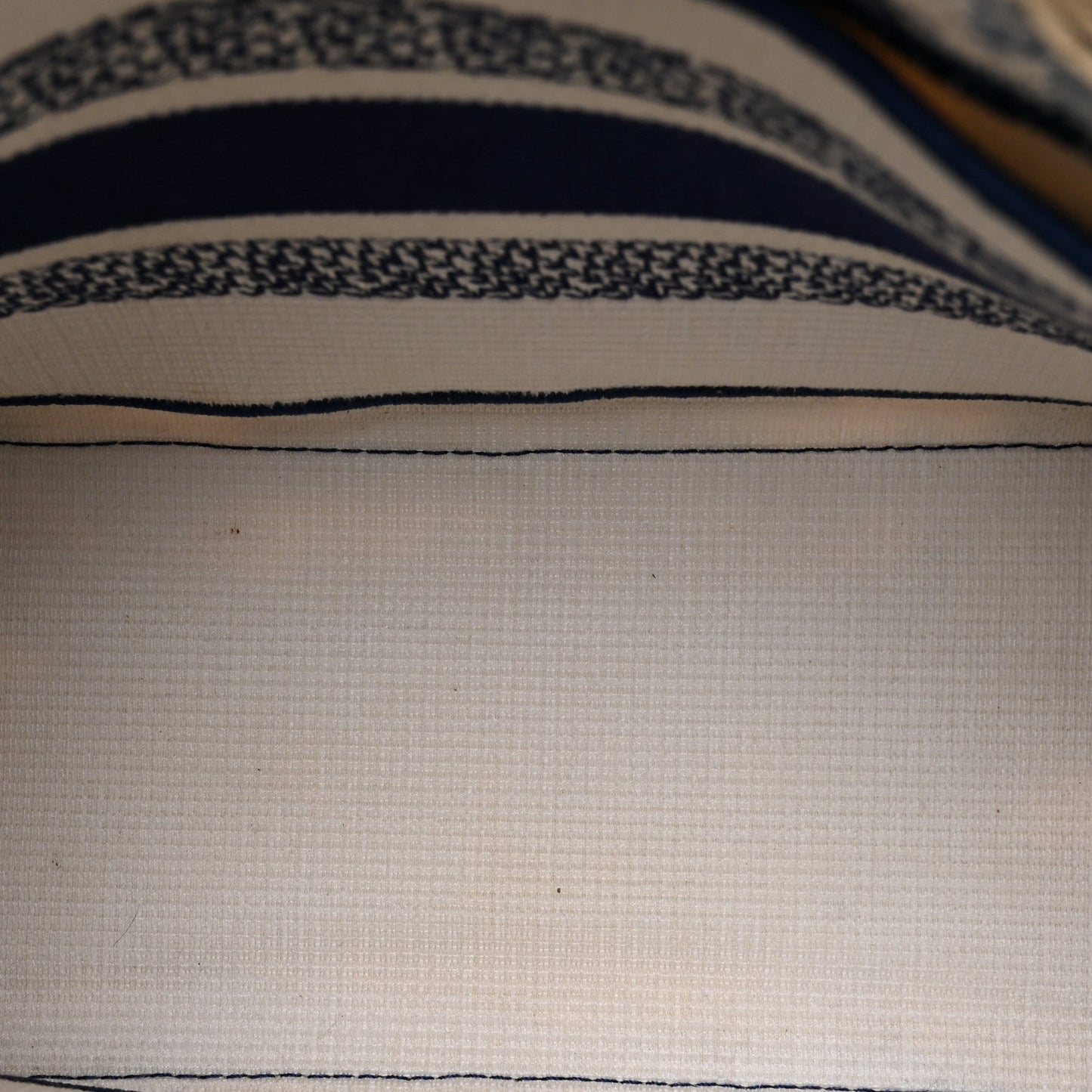 Canvas Embroidered Toile De Jouy Soleil Medium Lady D-Lite Blue