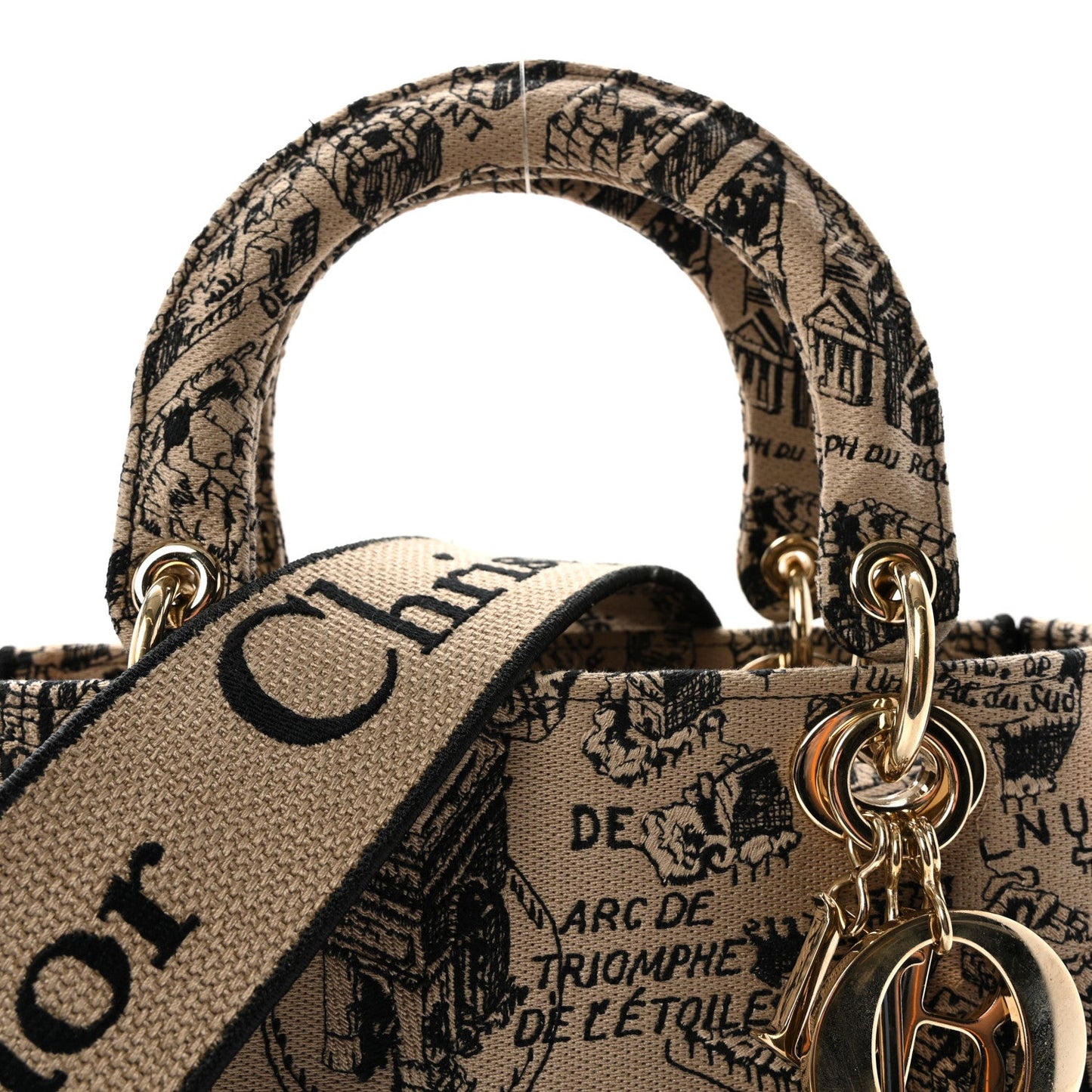 Canvas Embroidered Medium Plan de Paris Lady D-Lite Beige Black