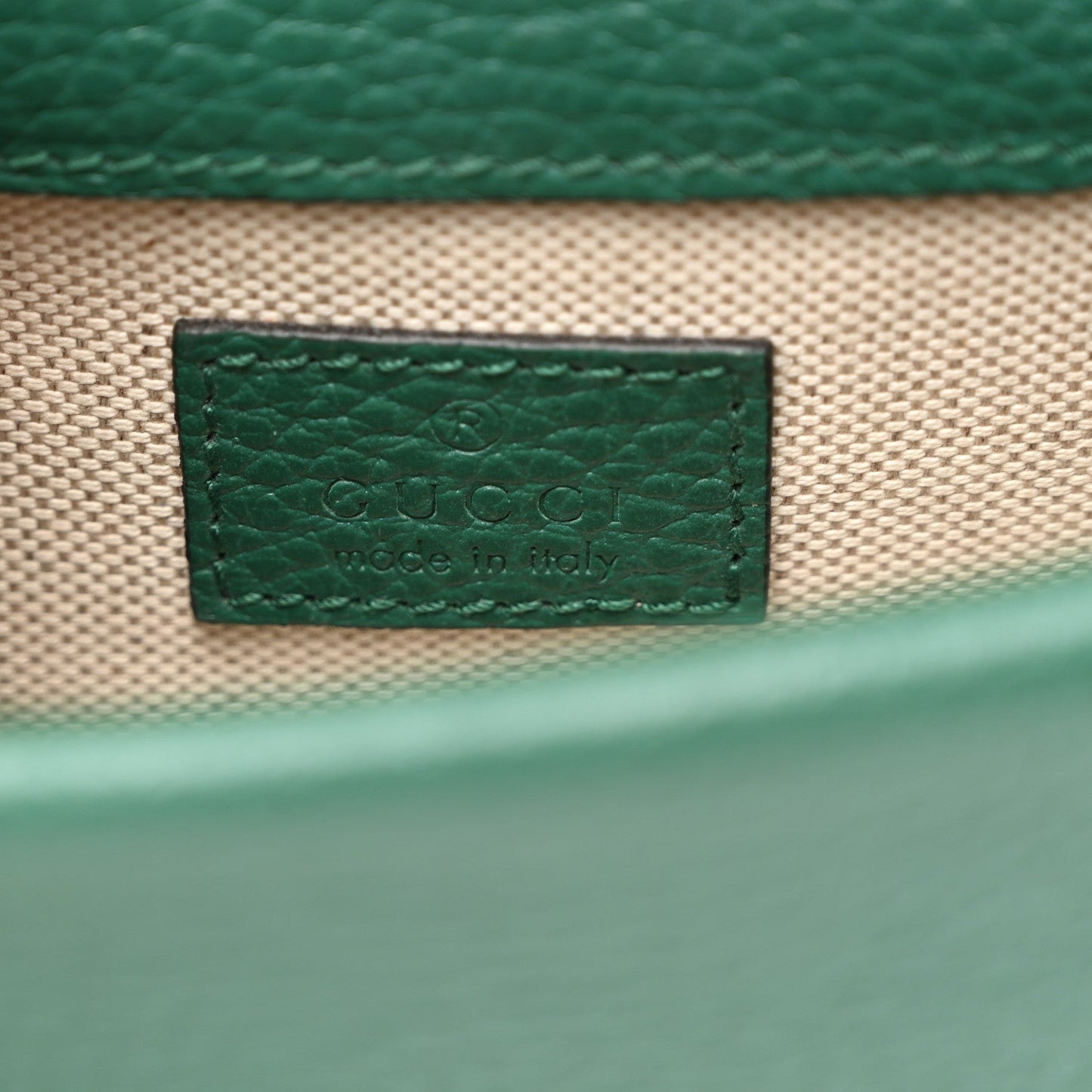 Dollar Calfskin Crystal Mini Dionysus Top Handle Bag Emerald
