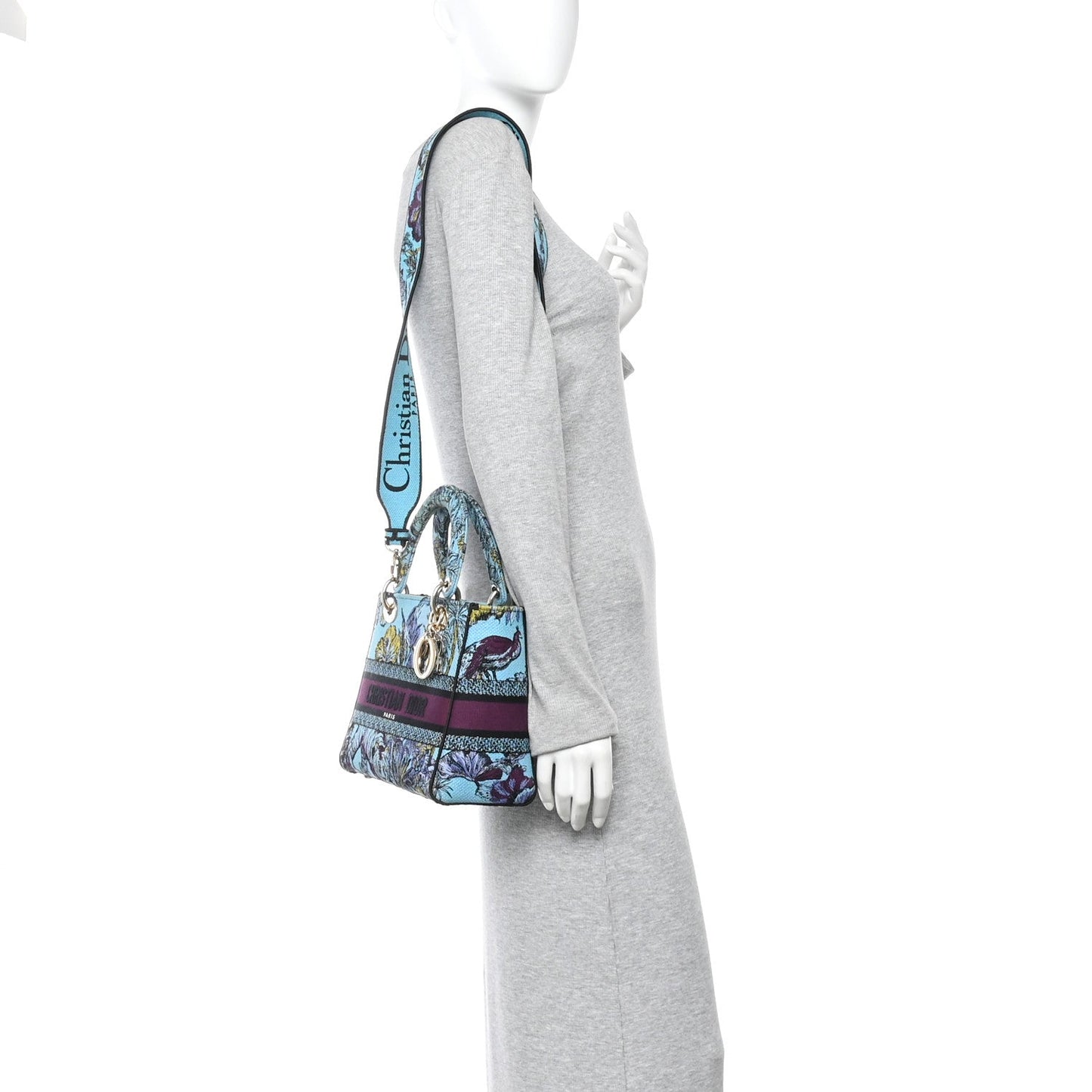 Canvas Toile de Jouy Voyage Embroidered Medium Lady D-Lite Celestial Blue