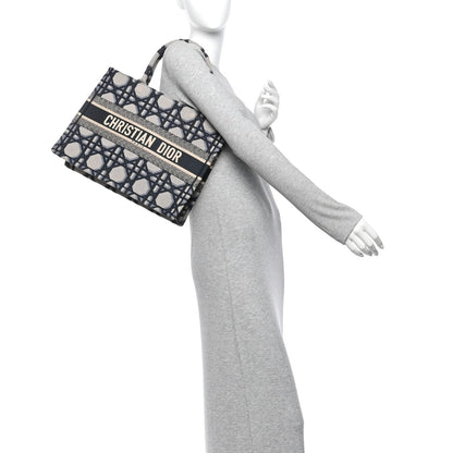 Canvas Macrocannage Embroidered Medium Book Tote Beige Blue