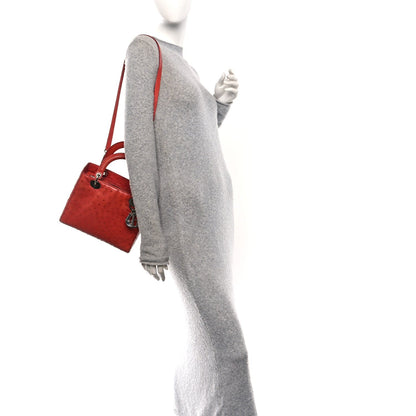 Ostrich Medium Lady Dior Red