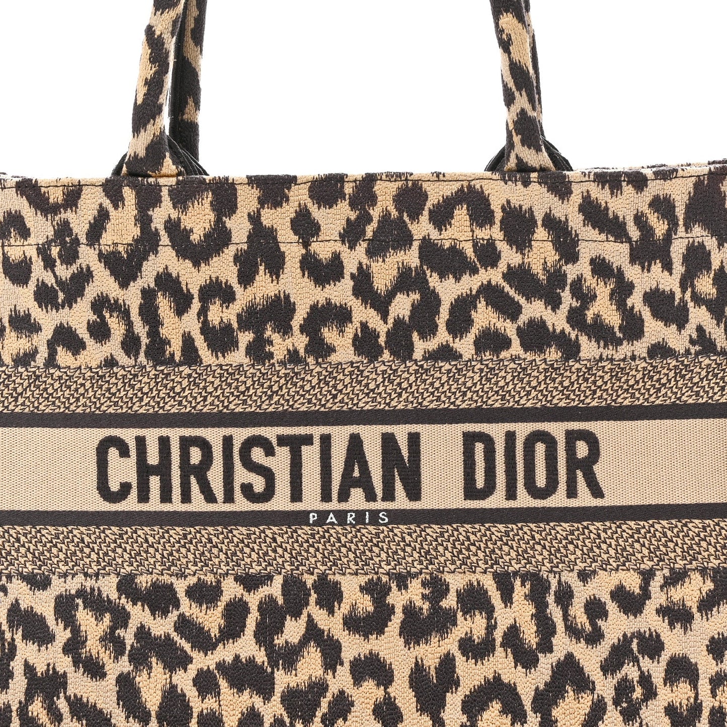 Canvas Mizza Embroidered Medium Leopard Book Tote Beige