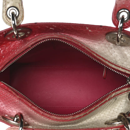 Snakeskin Ombre Medium Lady Dior Red White