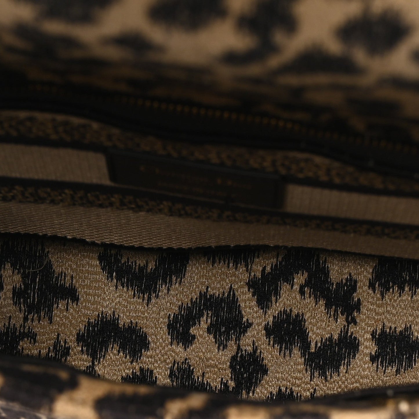 Canvas Medium Mizza Embroidered Lady D-Lite Beige Multicolor