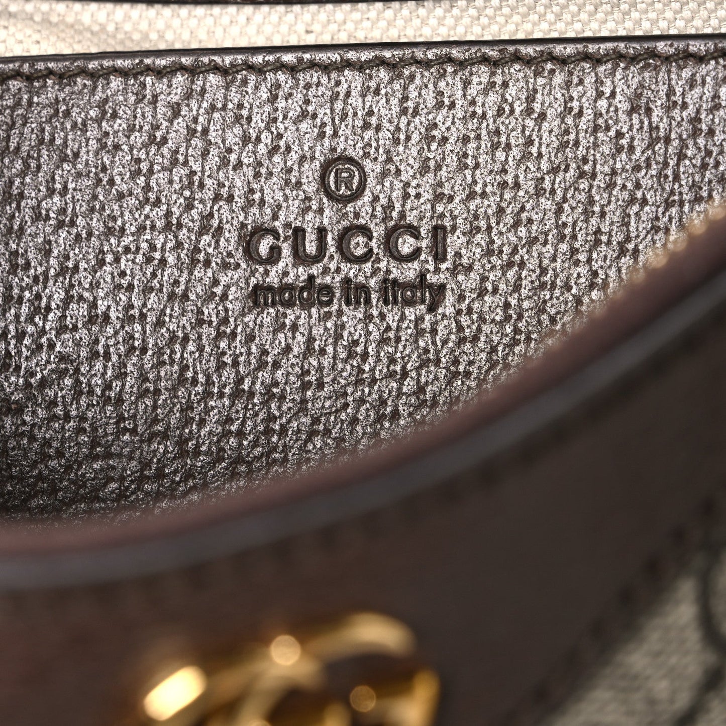 GG Supreme Monogram Textured Dollar Calfskin Small Ophidia Hobo Beige Ebony New Acero