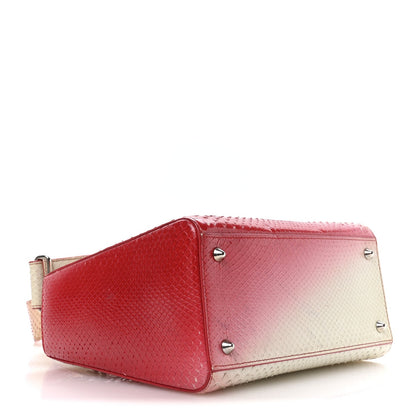 Snakeskin Ombre Medium Lady Dior Red White
