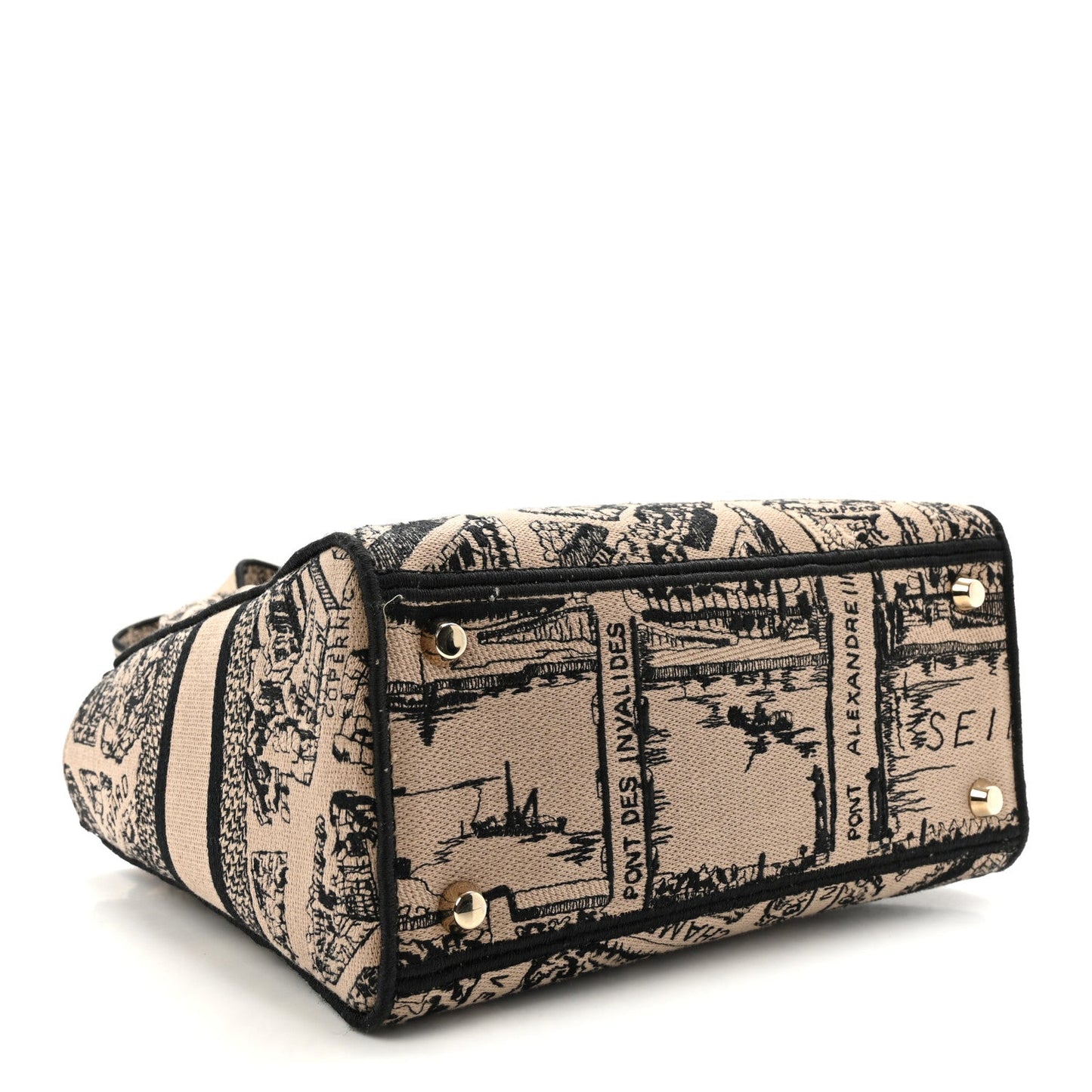 Canvas Embroidered Medium Plan de Paris Lady D-Lite Beige Black