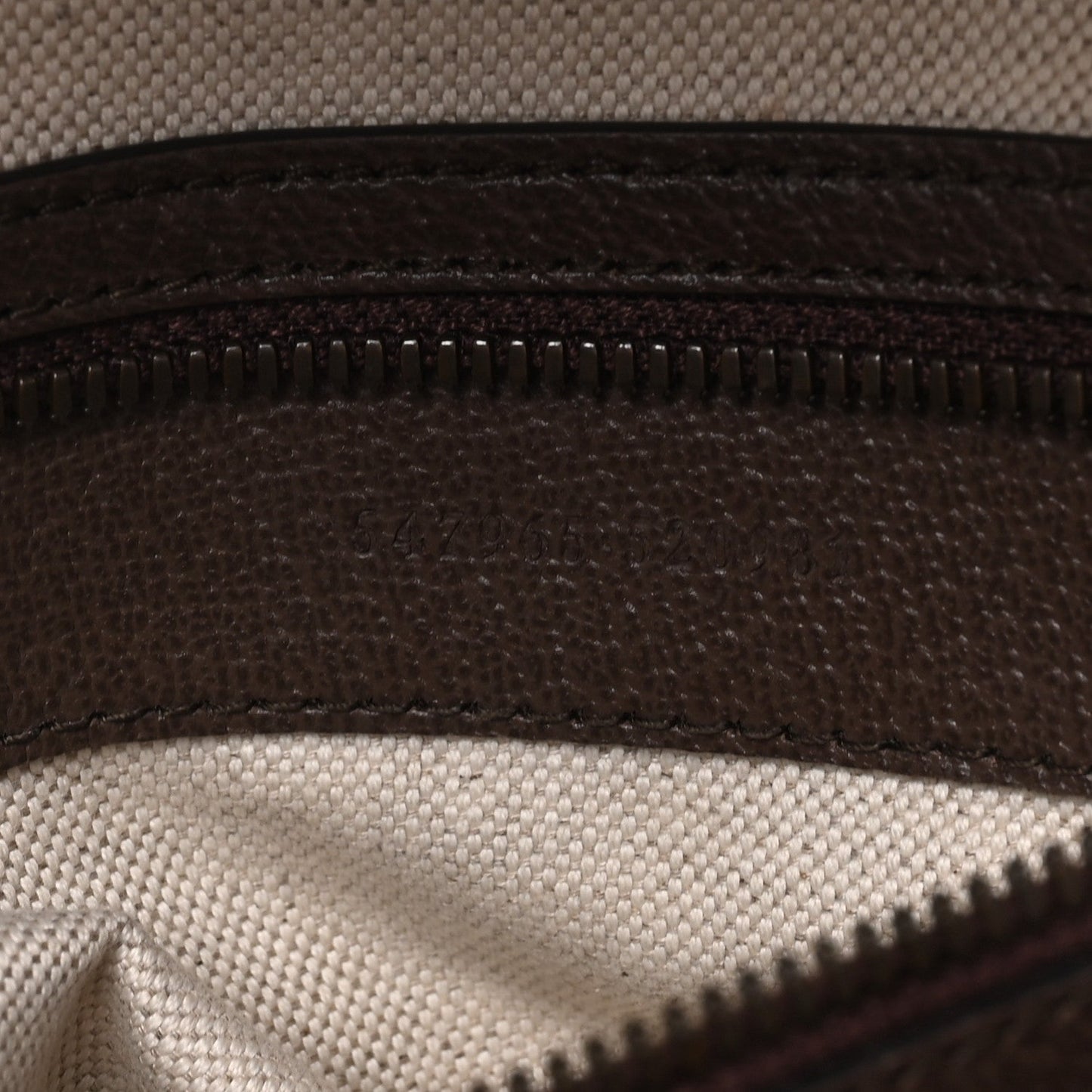 GG Supreme Monogram Textured Dollar Calfskin Web Small Ophidia Day Backpack Beige Ebony Fluorescent Fuchsia