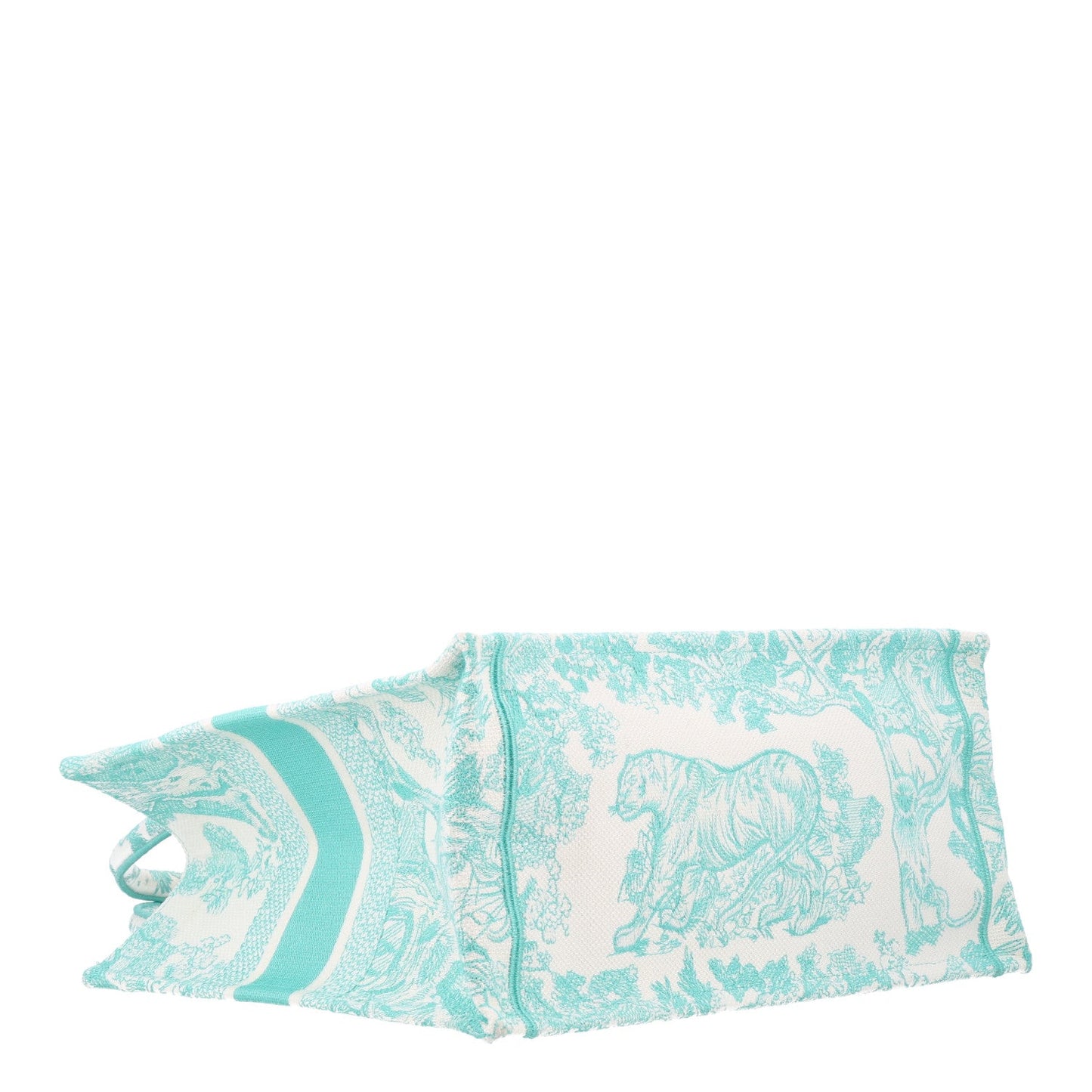 Canvas Embroidered Medium Dioriviera Toile De Jouy Book Tote Aquamarina