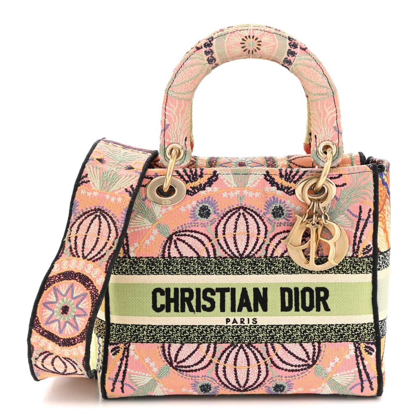 Canvas Embroidered In Lights Medium Lady D-Lite Multicolor