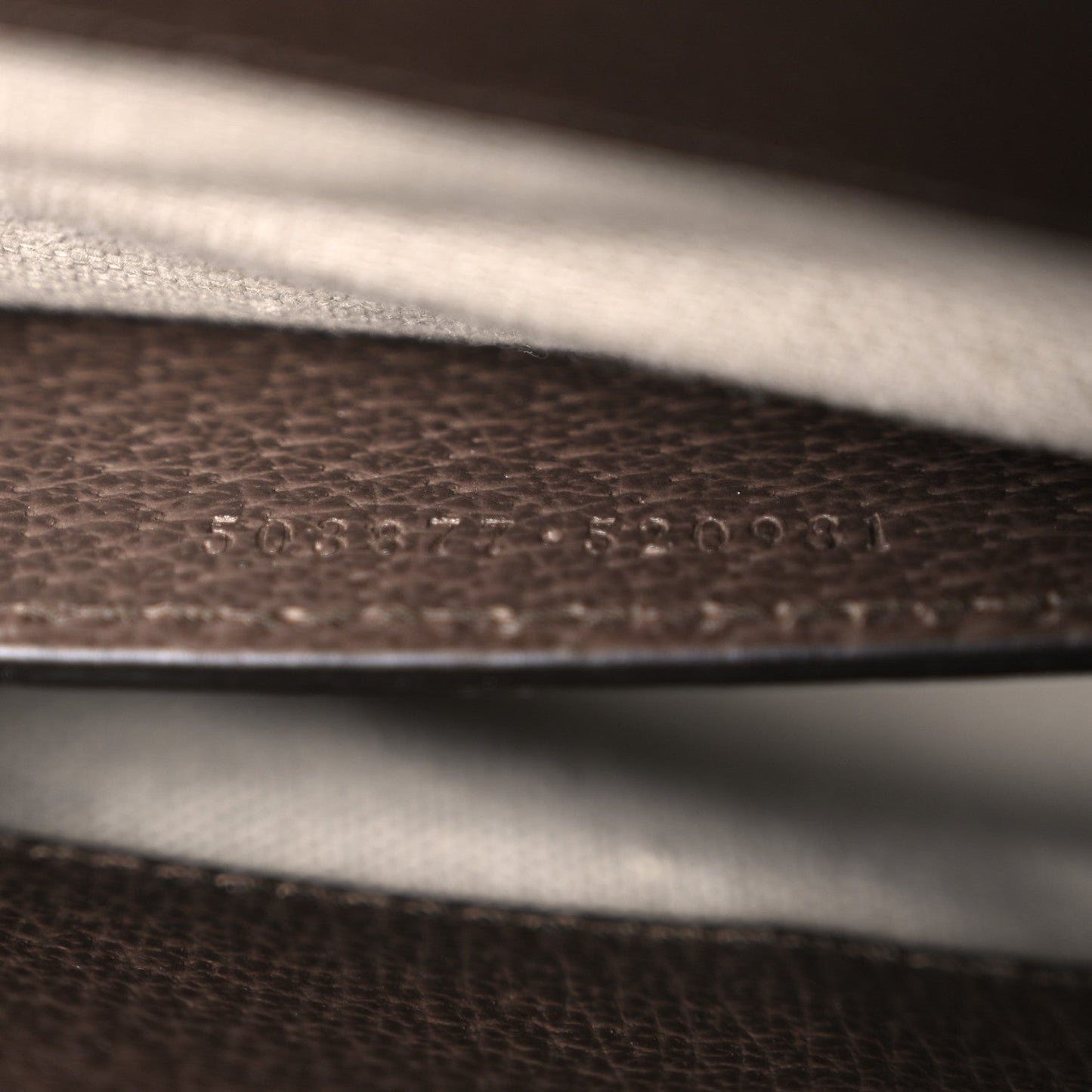 Monogram Jumbo GG Textured Dollar Calfskin Web Small Ophidia Chain Shoulder Bag Camel Ebony New Acero