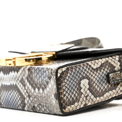 Snakeskin 30 Montaigne Box Bag Beige Multicolor