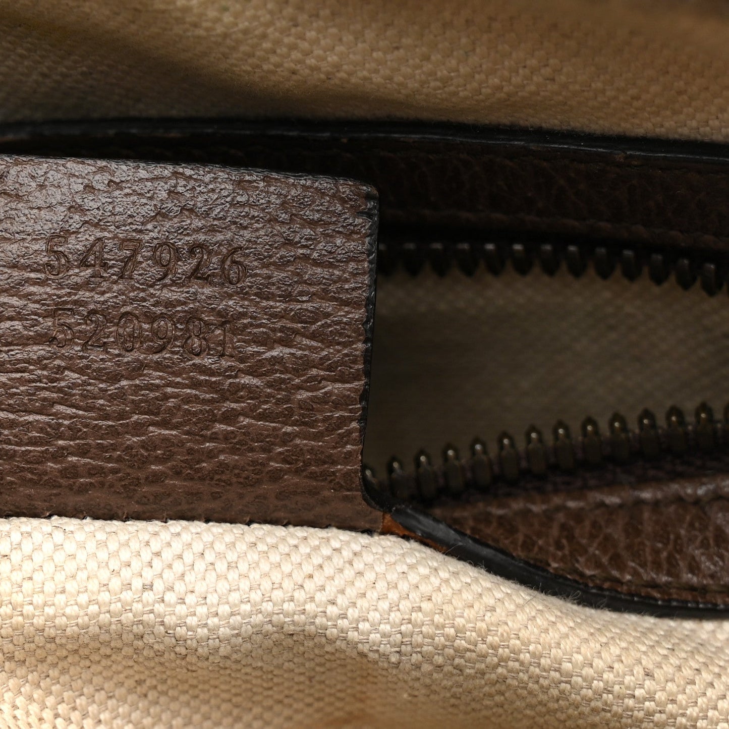 GG Supreme Monogram Web Small Ophidia Messenger Bag Brown