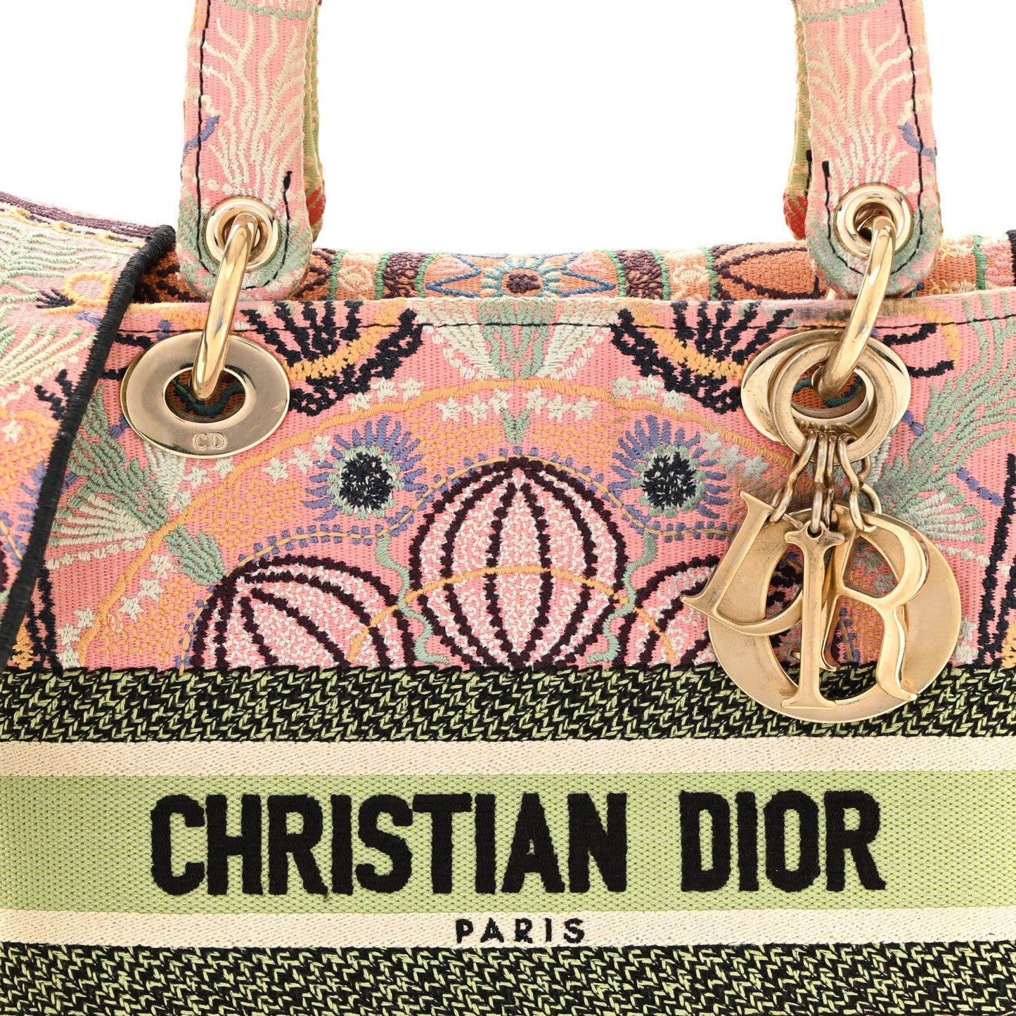 Canvas Embroidered In Lights Medium Lady D-Lite Multicolor