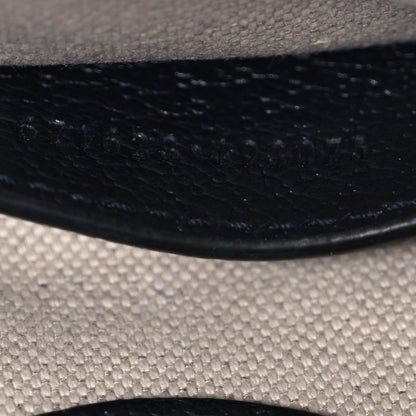 GG Supreme Monogram Textured Dollar Calfskin Mini Retro Interlocking G Tote Bag Beige Blue
