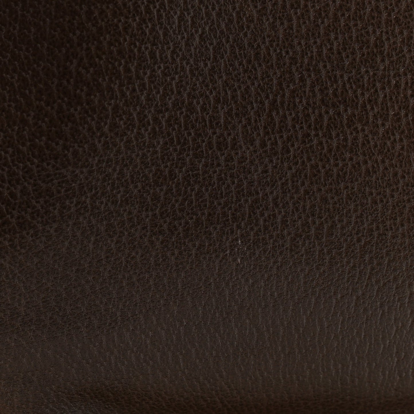 GG Supreme Monogram Textured Dollar Calfskin Web Medium Blondie Shoulder Flap Bag Beige Ebony New Acero