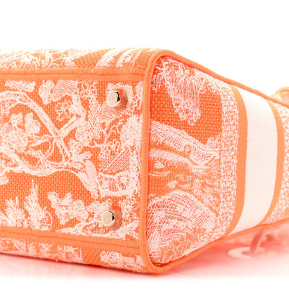 Canvas Toile De Jouy Reverse Embroidered Medium Lady D-Lite Fluorescent Orange