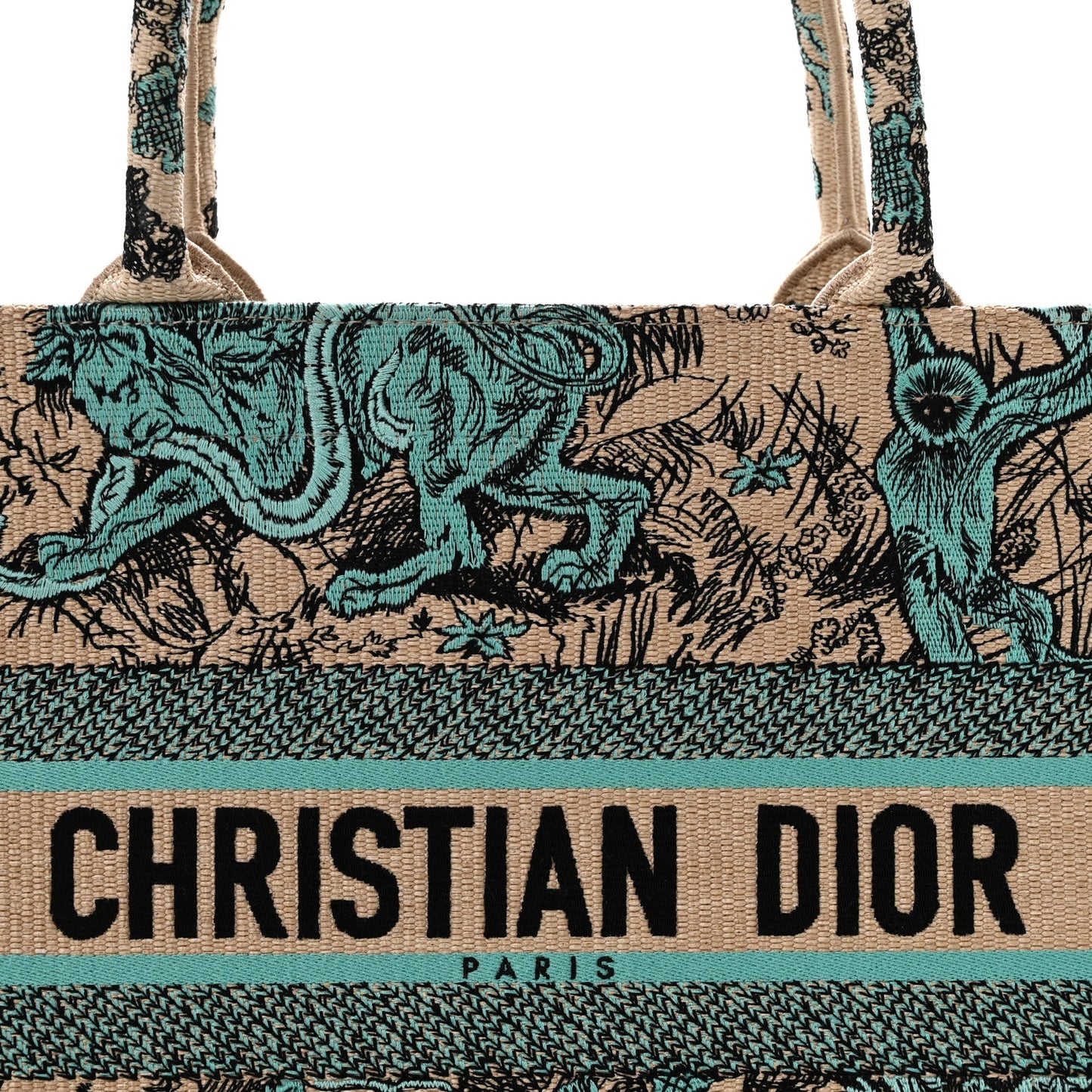 Raffia Embroidered Dioriviera Medium Book Tote Aquamarina