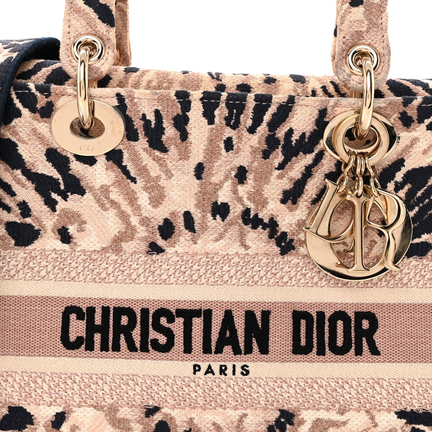 Canvas Embroidered Medium Tie And Dior Lady D-Lite Multicolor